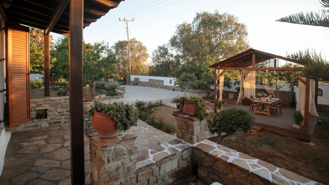 Naxos Chora Villa "Vaporias" With Amazing Garden Naxos City Ngoại thất bức ảnh